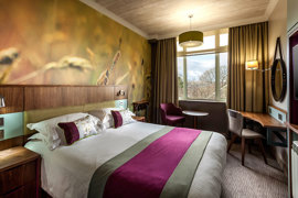castle-green-hotel-bedrooms-20-83674.jpg