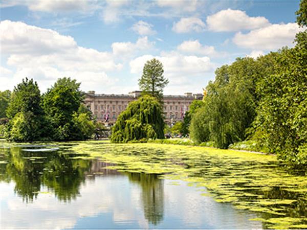 Buckingham palace behind beautiful green gardens and pond