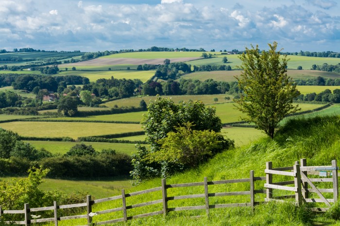 lincolnshire wolds