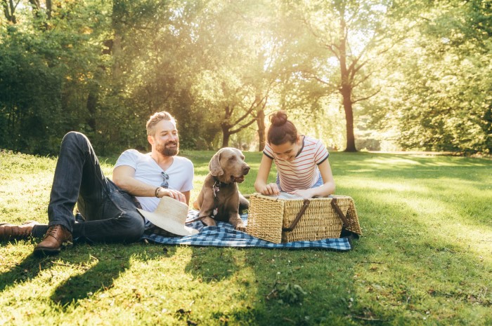 picnic with your pet