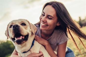 pet friendly hotel packages listing