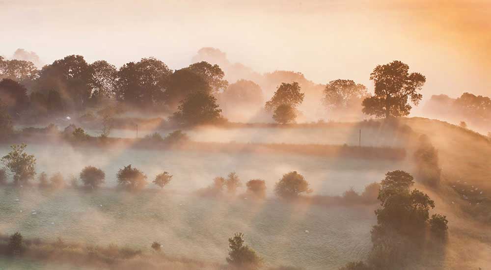 Somerset-Levels