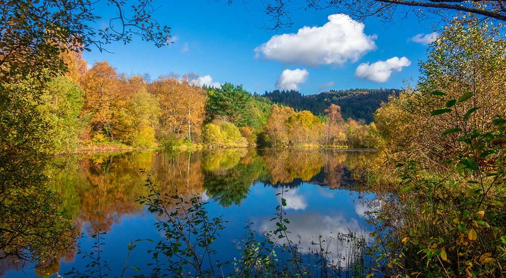 Trossachs,-Scotland